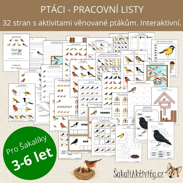 Pracovní listy - PTÁCI 1