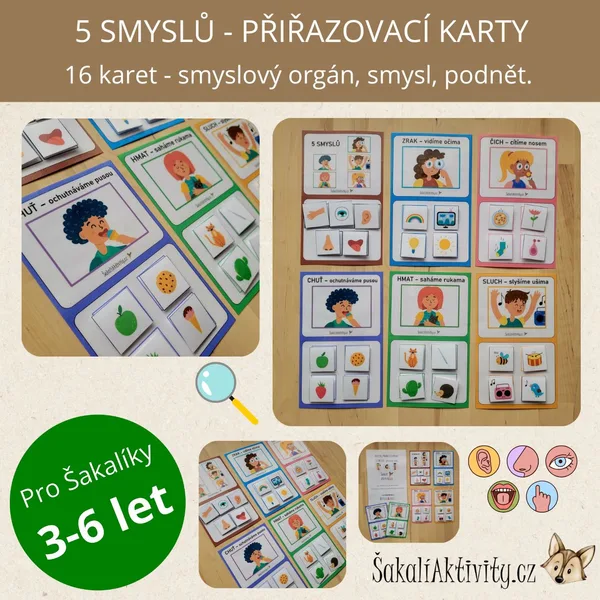 5 SMYSLŮ - přiřazovací karty 1