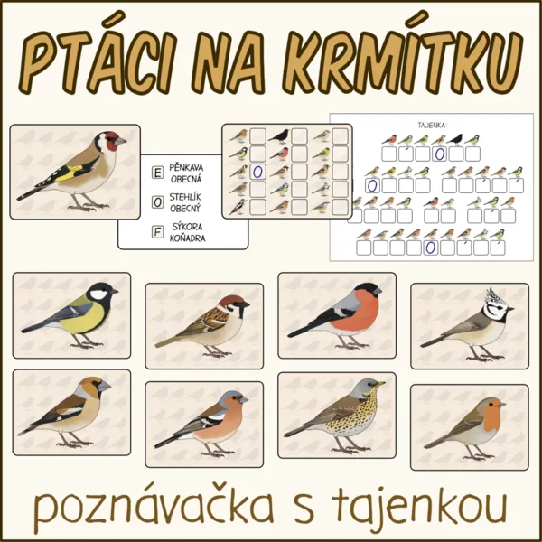 Ptáci na krmítku - Poznávačka s tajenkou 1