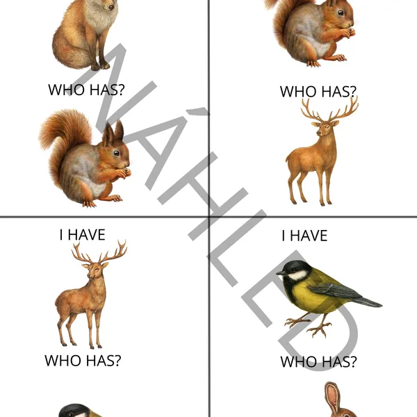 I have - Who has? forest animals 1