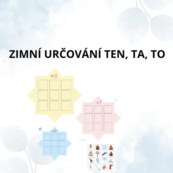 Zimní určování ten, ta, to, rozlišování rodů podstatných jmen  1
