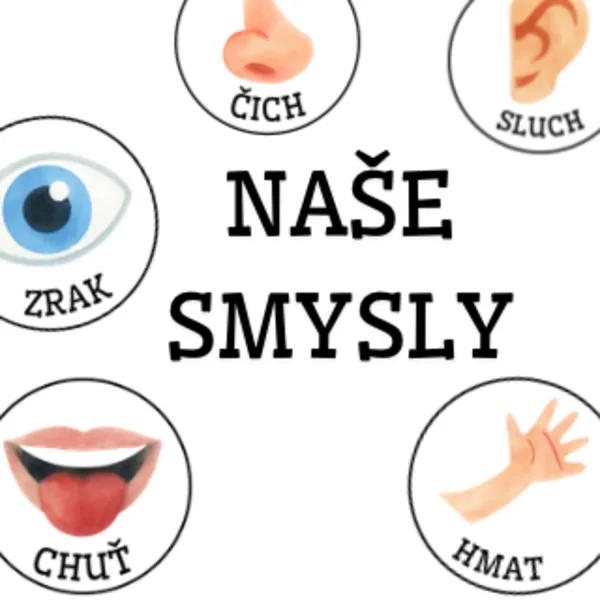 Poznáváme naše smysly 1