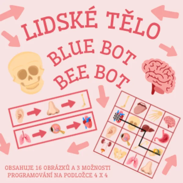 Lidské tělo - bee bot, blue bot 1