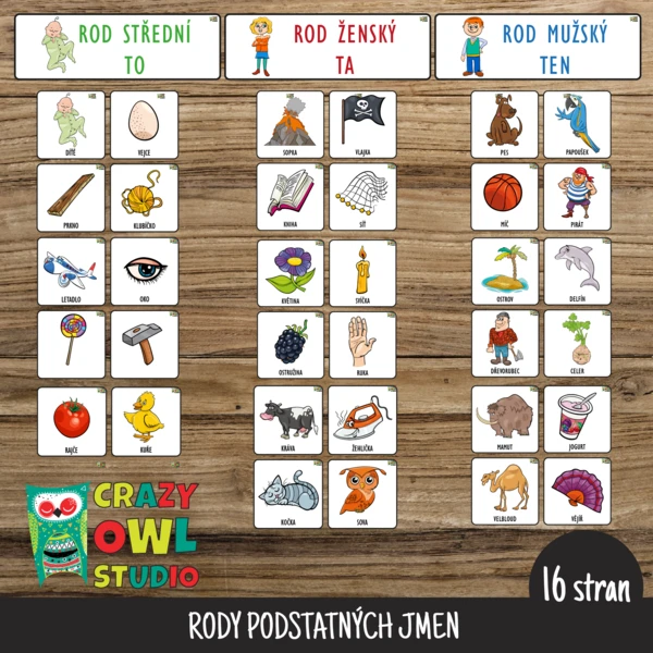 RODY PODSTATNÝCH JMEN 1