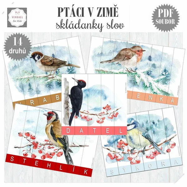 PTÁCI V ZIMĚ - SKLÁDANKY NÁZVŮ 1