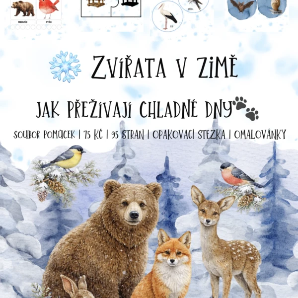🐾❄️ Zvířata v zimě – jak přežívají chladné dny 1