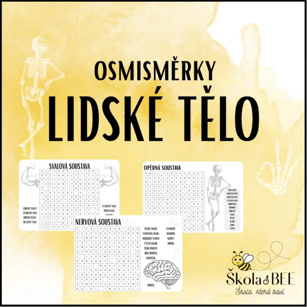 Lidské tělo - osmisměrky 1