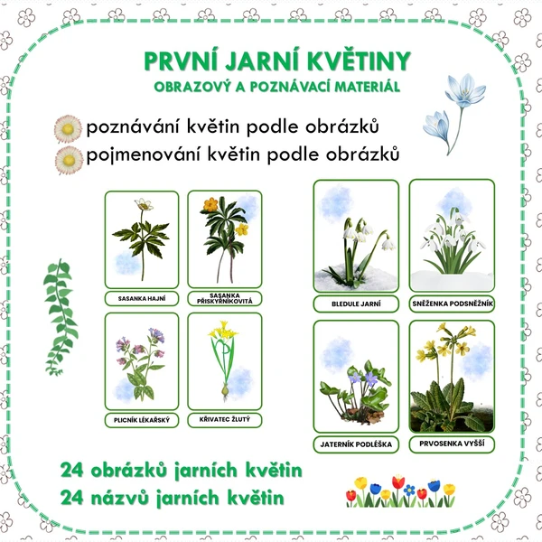 PRVNÍ JARNÍ KVĚTINY OBRAZOVÝ A POZNÁVACÍ MATERIÁL  1
