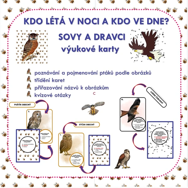 KDO LÉTÁ V NOCI A KDO VE DNE? DRAVCI A SOVY – výukové karty 1