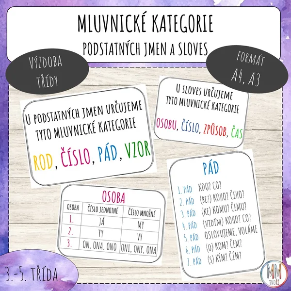 Mluvnické kategorie podstatných jmen a sloves 1