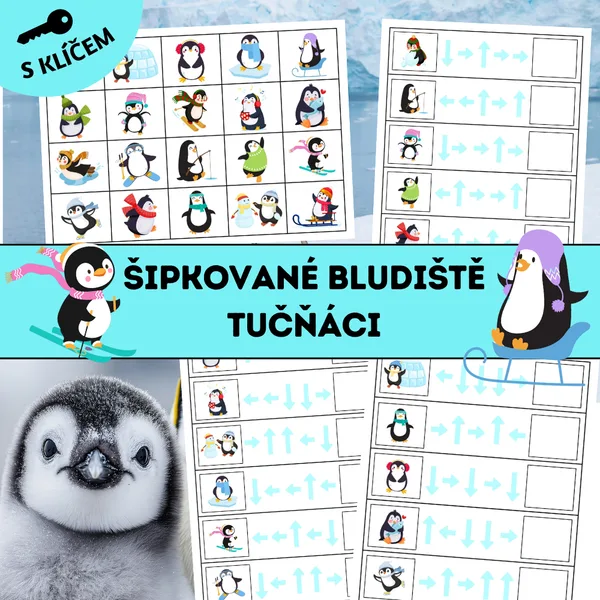 Šipkované bludiště: Tučňáci 1