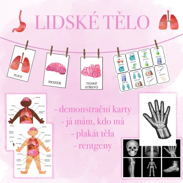 Lidské tělo 1