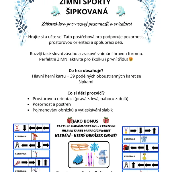 Zimní sporty - šipkovaná (rozvoj pozornosti a orientace) 1