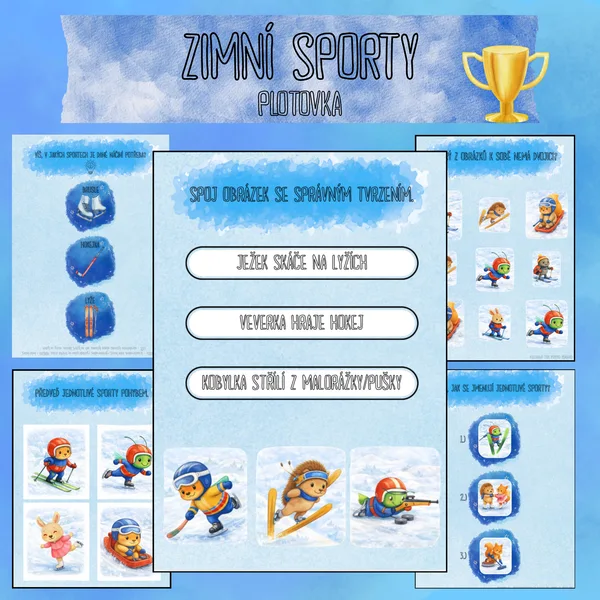 ZIMNÍ SPORTY - PLOTOVKA 1