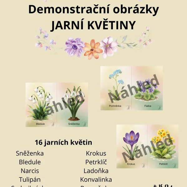 Jarní květiny - demonstrační obrázky 1