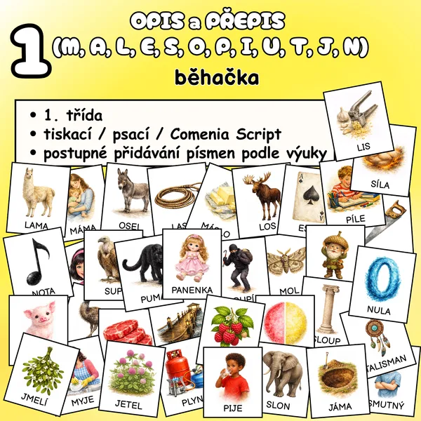 OPIS a PŘEPIS 1 (M, A, L, E, S, O, P, I, Y, U, T, J, N) 1