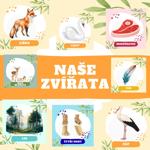 Naše zvířata - variabilní sada aktivit 1