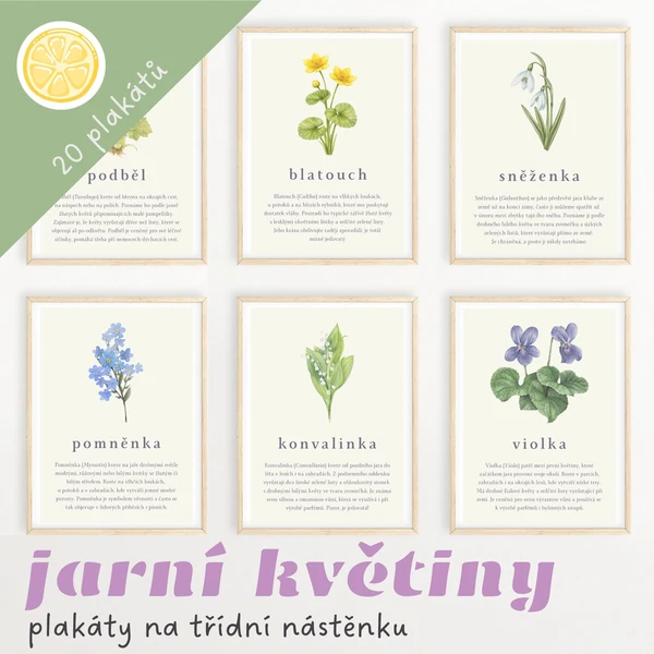 JARNÍ KVĚTINY - plakátky na třídní nástěnku 1