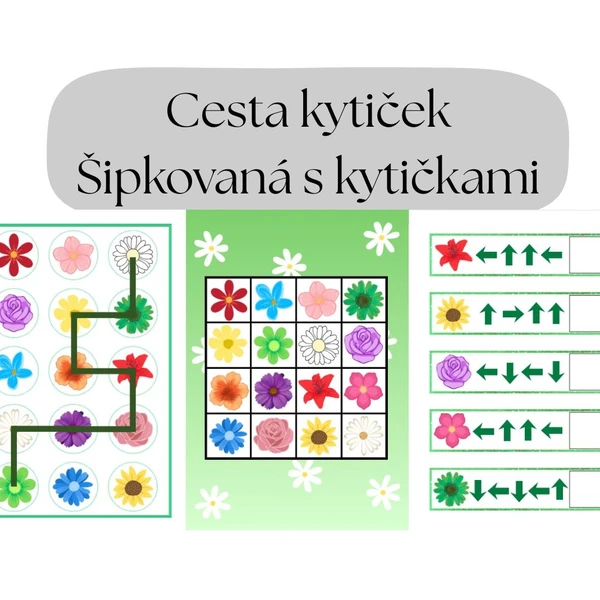 Cesta kytiček, Šipkovaná s kytičkami 1
