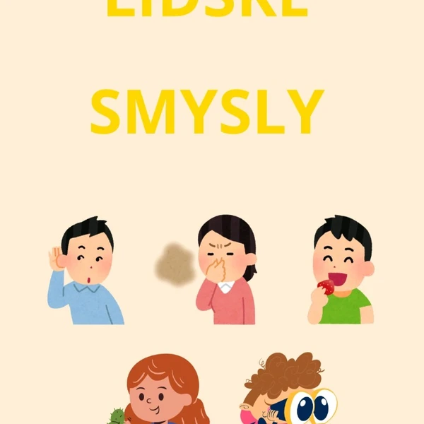 Lidské tělo - lidské smysly  1