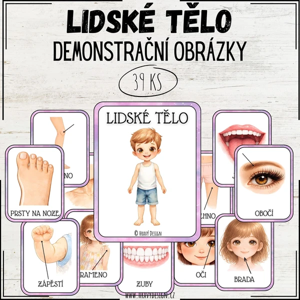 Demonstrační obrázky - lidské tělo 1