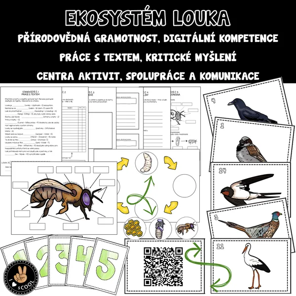 Ekosystém louka 1