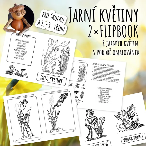 Jarní květiny s dubánky – 2 flipbooky s omalovánkami pro poznávání květin 1