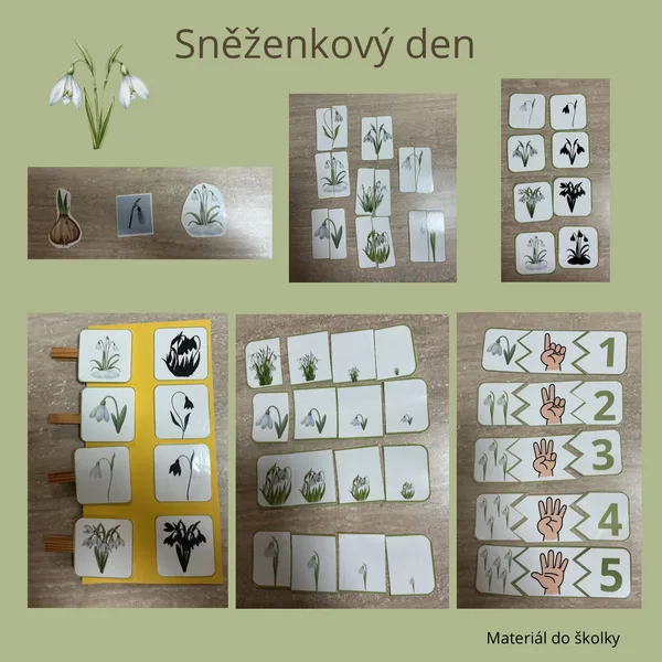 Sněženkový den  1