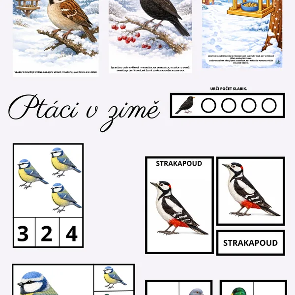 Ptáci v zimě 1