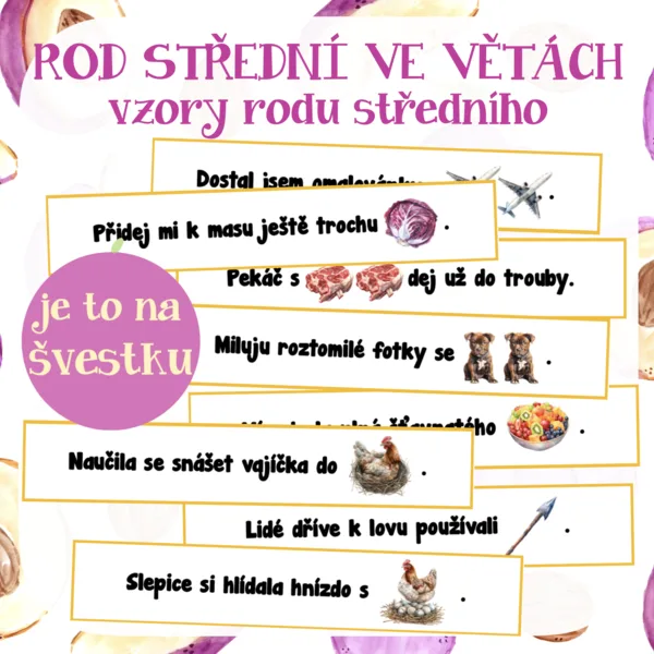 Rod střední ve větách - vzory rodu středního 1