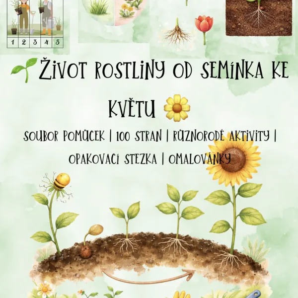 🌱 Život rostliny od semínka ke květu 1