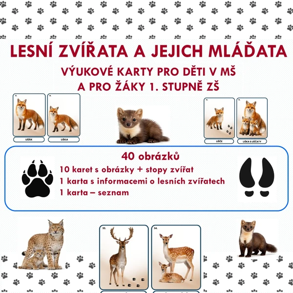 LESNÍ ZVÍŘATA A JEJICH MLÁĎATA 1