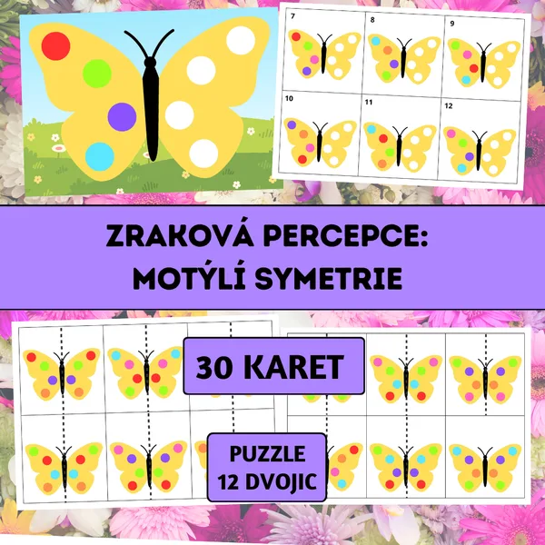 Zraková percepce: Motýlí symetrie 1