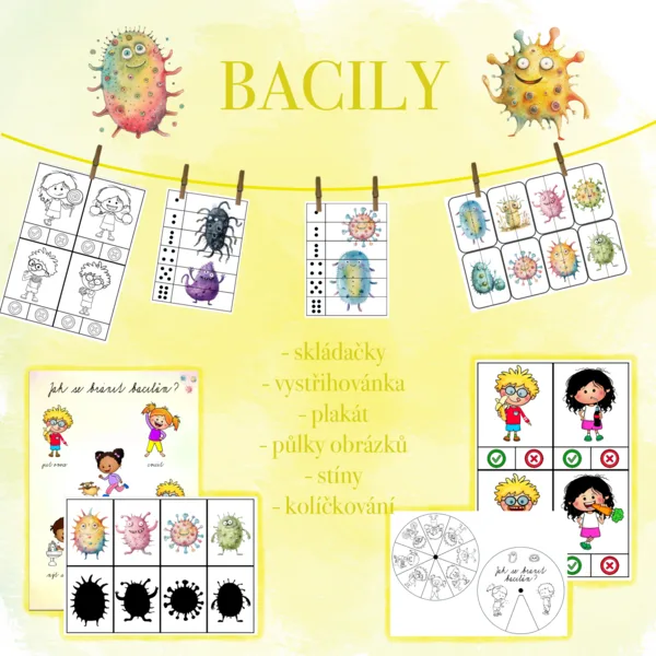 Bacily 1