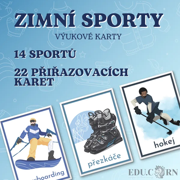 Výukové karty "Zimní sporty a aktivity" 1