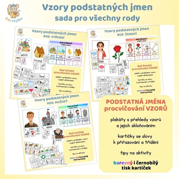 Vzory podstatných jmen - všechny rody 1