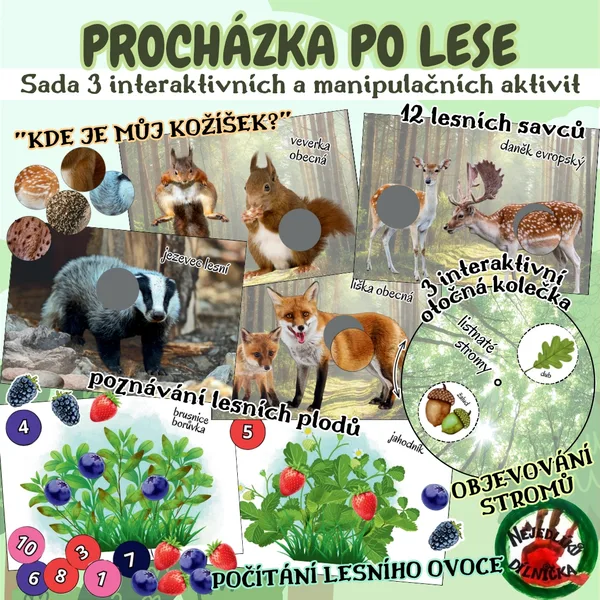 PROCHÁZKA PO LESE 1