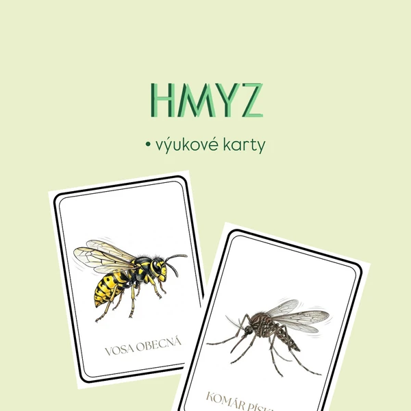 Hmyz 1