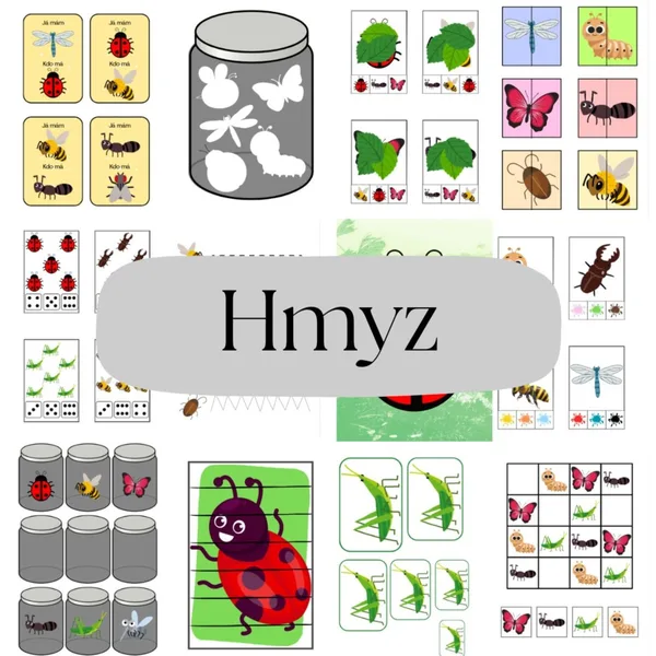 Hmyz 1