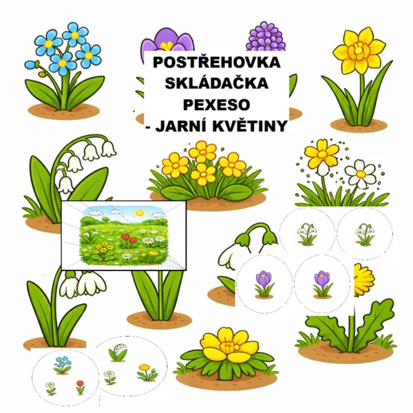 Postřehovka, skládačka, pexeso - jarní květiny 1
