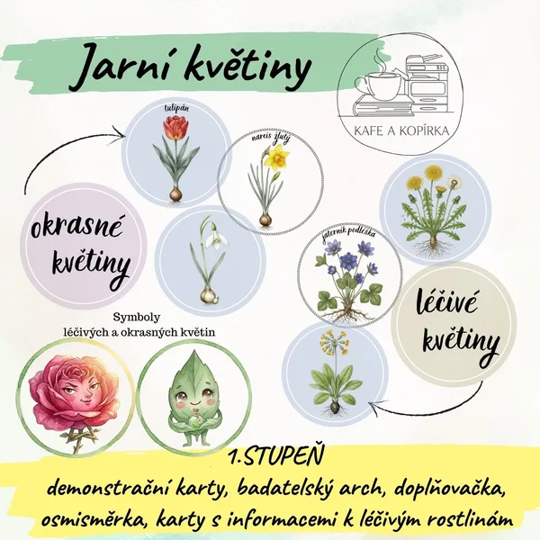 Jarní květiny 1