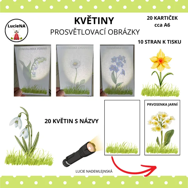 KVĚTINY - PROSVĚTLOVÁNÍ 1