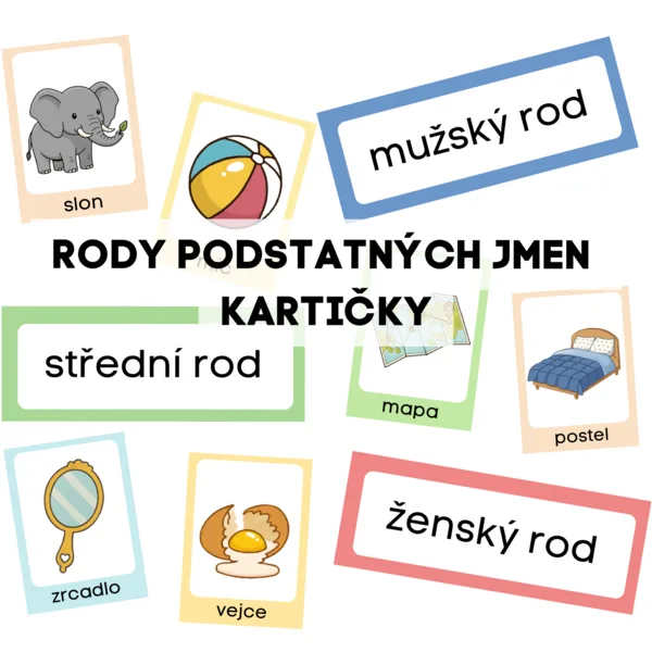 Rody podstatných jmen - kartičky  1