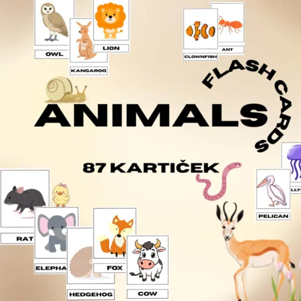 ANIMALS - flashcards 1