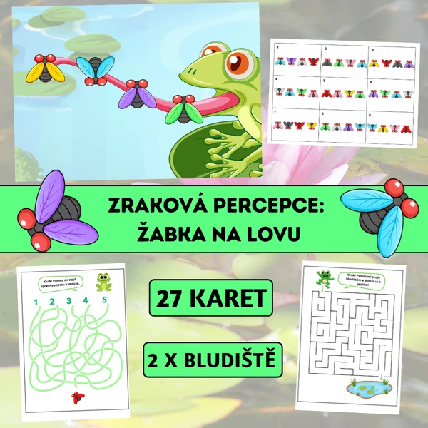 Zraková percepce: Žabka na lovu 1