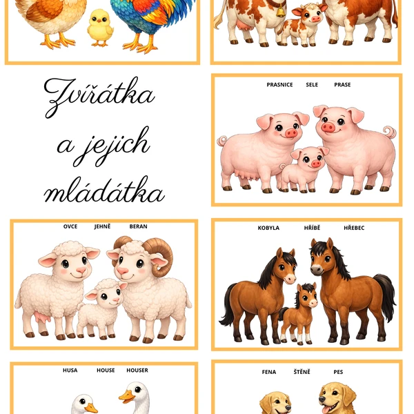 Zvířátka a jejich mláďátka 1