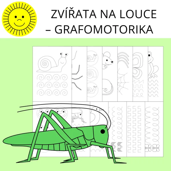 ZVÍŘATA NA LOUCE – GRAFOMOTORIKA 1