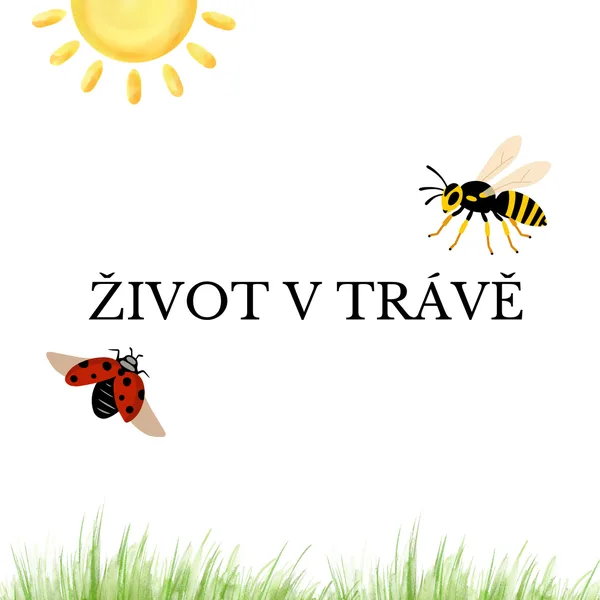 Život v trávě 1