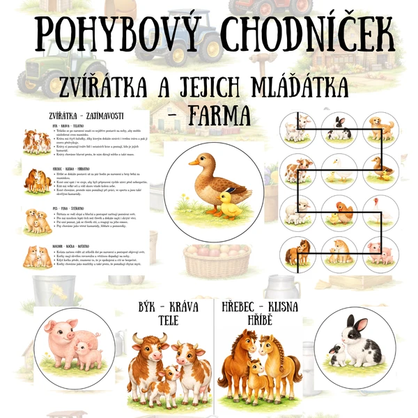Pohybový chodníček - Zvířátka z farmy 1