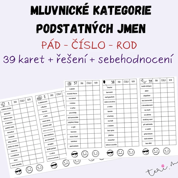 MLUVNICKÉ KATEGORIE PODSTATNÝCH JMEN - určování (pád, číslo, rod) 1